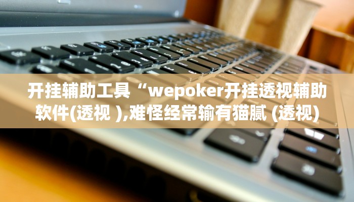 开挂辅助工具“wepoker辅助挂软件(透视 )!详细教程透视方法
