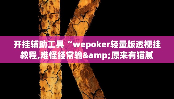 开挂辅助工具“wePoker透视挂软件!(透视)详细辅助透视教程