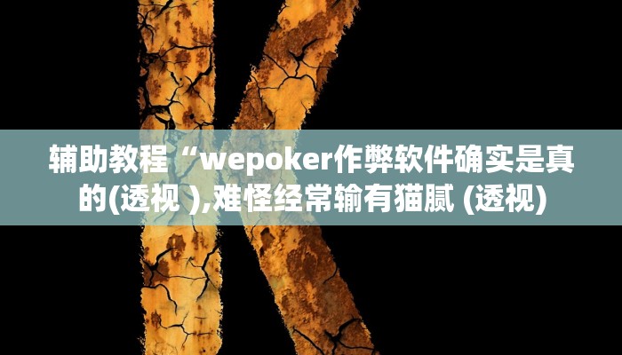 辅助教程“wepoker辅助挂开挂方法!(透视)详细辅助透视教程