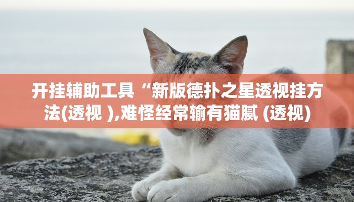 辅助教程“德扑之星透视挂方法(透视 ),难怪经常输有猫腻 (透视)