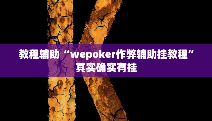 教程辅助“wepoker作弊辅助挂教程”其实确实有挂