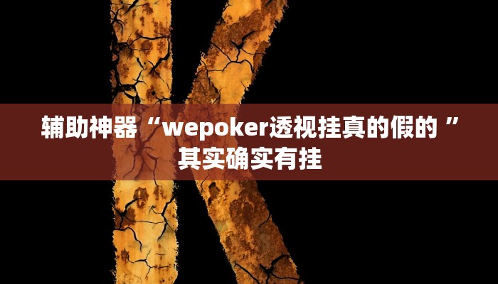 开挂辅助工具“wepoker辅助透视挂软件(透视 )!详细教程透视方法 开挂辅助工具“wepoker辅助透视挂软件(透视 )!详细教程透视方法