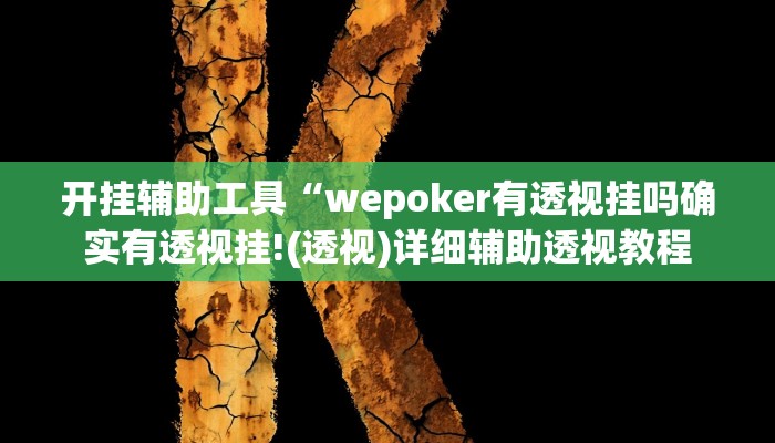 辅助教程“wepoker俱乐部透视挂软件(透视 ),难怪经常输有猫腻 (透视)