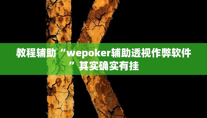 教程辅助“wepoker辅助透视作弊软件”其实确实有挂