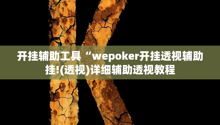 开挂辅助工具“wepoker开挂透视辅助挂!(透视)详细辅助透视教程