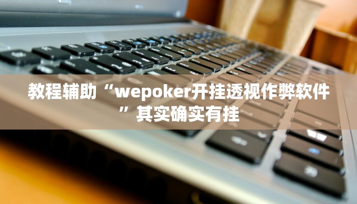 教程辅助“wepoker开挂透视作弊软件”其实确实有挂