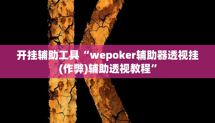 玩家辅助神器:“Wepoker私人局透视挂开挂教程”开挂详细教程