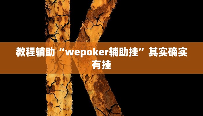 辅助教程“wepoker德州可以装挂确实有挂!(透视)详细辅助透视教程