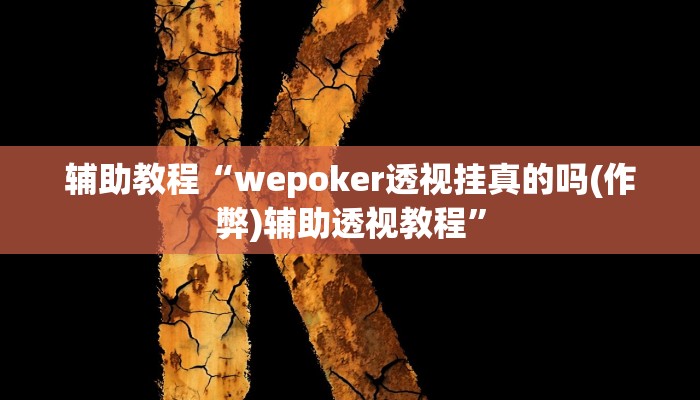 玩家辅助神器:“德州wepoker作弊透视开挂辅助挂”开挂详细教程