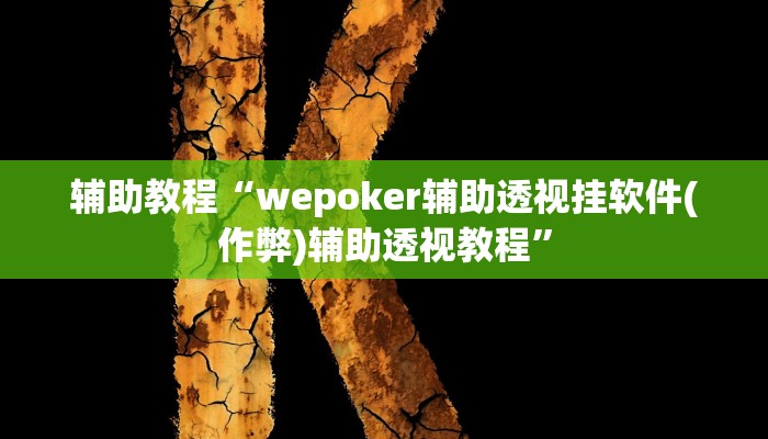辅助教程“wepoker辅助透视挂软件(作弊)辅助透视教程”