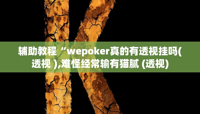 辅助教程“wepoker真的有透视挂吗(透视 ),难怪经常输有猫腻 (透视)