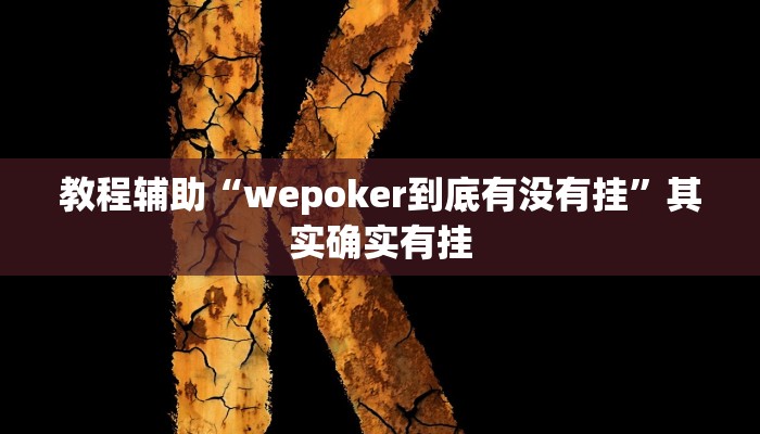 教程辅助“wepoker到底有没有挂”其实确实有挂 教程辅助“wepoker到底有没有挂”其实确实有挂