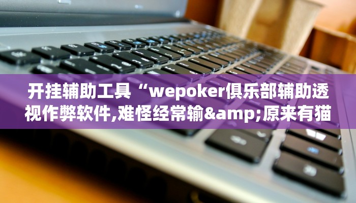 开挂辅助工具“wepoker俱乐部辅助透视作弊软件,难怪经常输&原来有猫腻