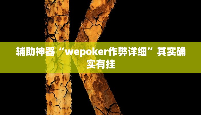 辅助神器“(新版wepoker)作弊软件”开挂详细教程