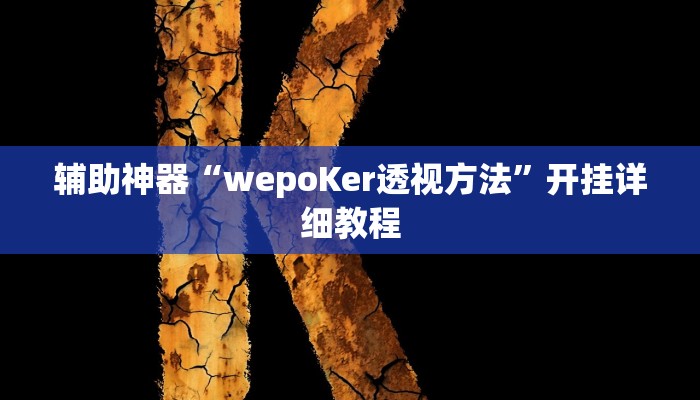 辅助神器“wepoKer透视方法”开挂详细教程