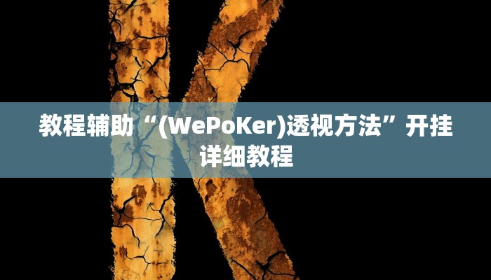 教程辅助“(WePoKer)透视方法”开挂详细教程