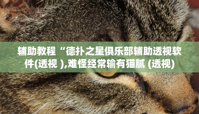 辅助教程“德扑之星俱乐部辅助透视软件(透视 ),难怪经常输有猫腻 (透视) 辅助教程“德扑之星俱乐部辅助透视软件(透视 ),难怪经常输有猫腻 (透视)