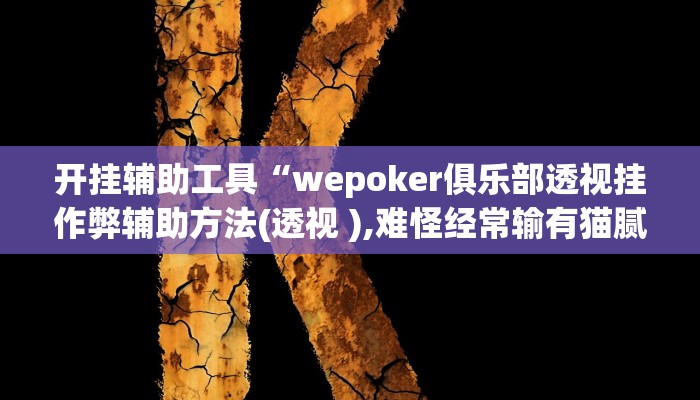 开挂辅助工具“wepoker俱乐部透视挂作弊辅助方法(透视 ),难怪经常输有猫腻 (透视) 开挂辅助工具“wepoker俱乐部透视挂作弊辅助方法(透视 ),难怪经常输有猫腻 (透视)