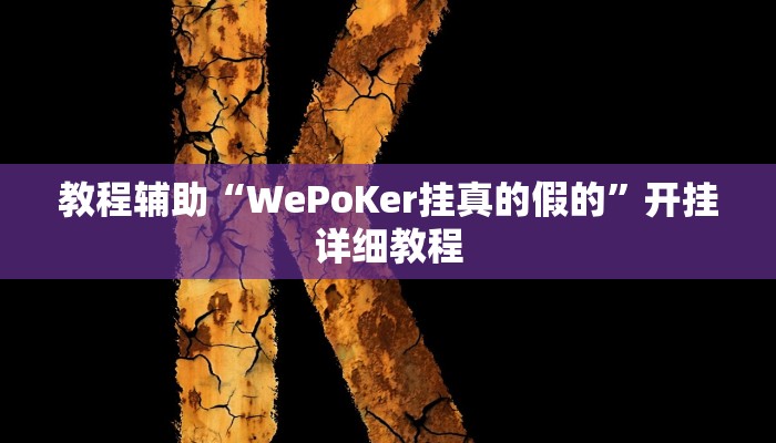 教程辅助“WePoKer挂真的假的”开挂详细教程 教程辅助“WePoKer挂真的假的”开挂详细教程