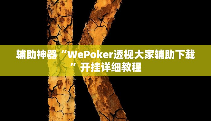 玩家辅助神器:“wepoker究竟有没有透视挂”开挂详细教程