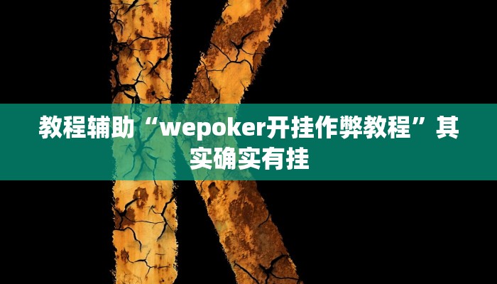 教程辅助“wepoker开挂作弊教程”其实确实有挂