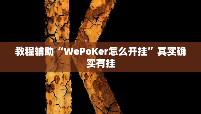 开挂辅助工具“wpk德州透视挂教程!(透视)详细辅助透视教程