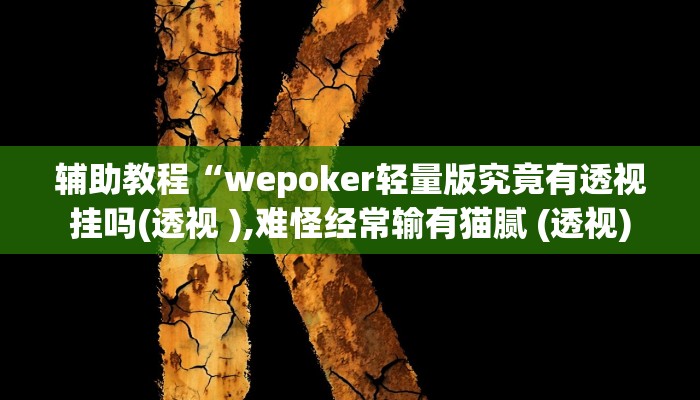 开挂辅助工具“hhpoker透视辅助(透视 )!详细教程透视方法