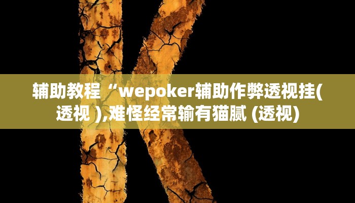 开挂辅助工具“wepoker私人局透视挂方法,难怪经常输&原来有猫腻