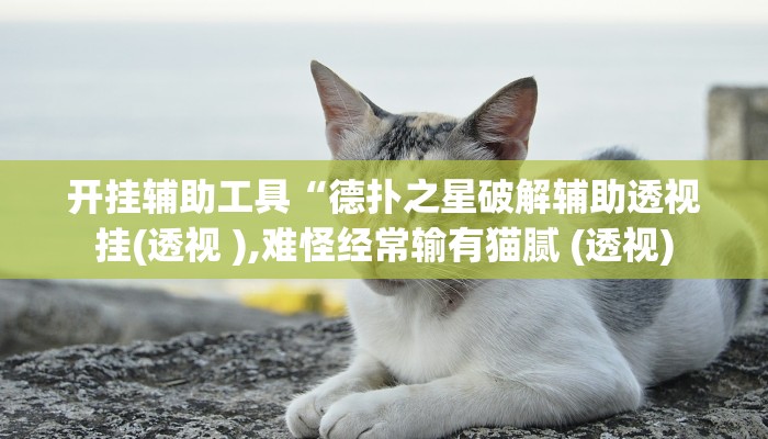 教程辅助“闽悦麻将能开挂吗”开挂详细教程