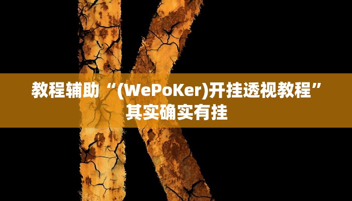 教程辅助“(WePoKer)开挂透视教程”其实确实有挂