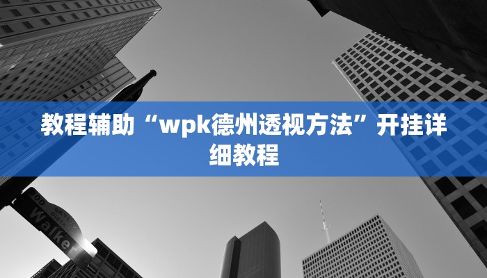 教程辅助“wpk德州透视方法”开挂详细教程