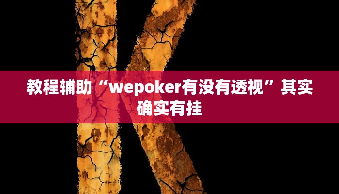 开挂辅助工具“wepoker辅助透视挂作弊挂(透视 )!详细教程透视方法