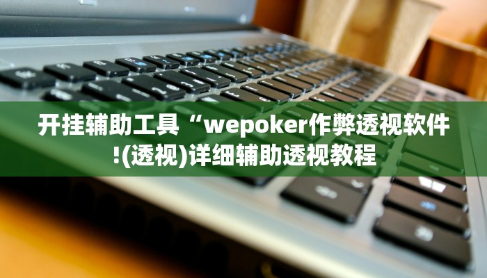 开挂辅助工具“wepoker作弊透视软件!(透视)详细辅助透视教程