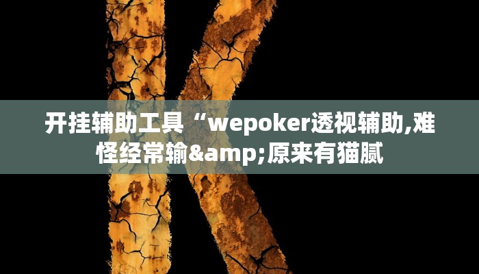 开挂辅助工具“wepoker透视辅助,难怪经常输&原来有猫腻
