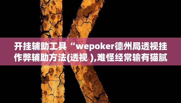 开挂辅助工具“德州局wepoker作弊透视挂 ,难怪经常输&原来有猫腻