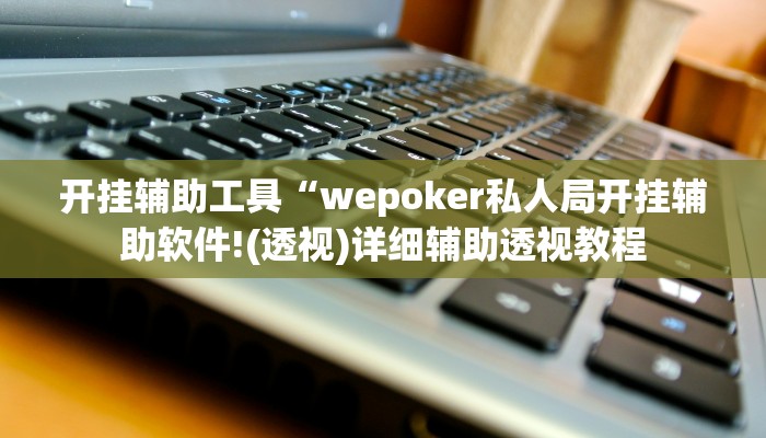 开挂辅助工具“wepoker私人局开挂辅助软件!(透视)详细辅助透视教程