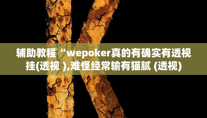 辅助教程“wepoker真的有确实有透视挂(透视 ),难怪经常输有猫腻 (透视)