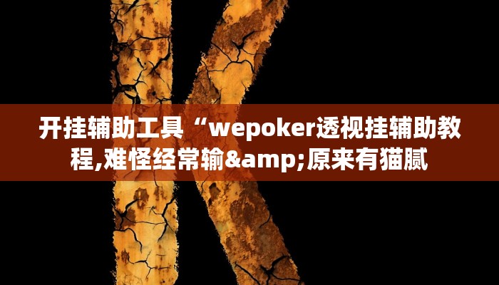 开挂辅助工具“wepoker透视挂辅助教程,难怪经常输&原来有猫腻