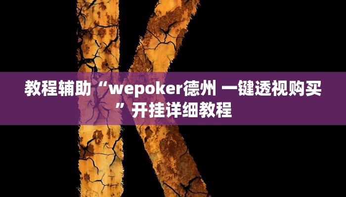 教程辅助“wepoker德州 一键透视购买”开挂详细教程