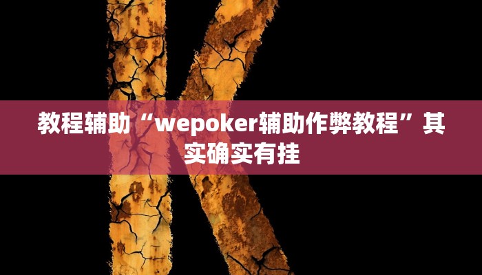 教程辅助“wepoker辅助作弊教程”其实确实有挂
