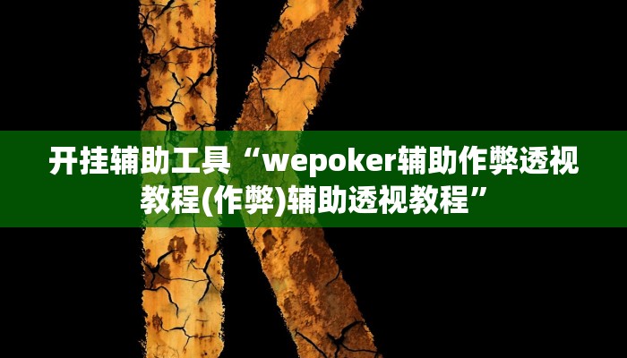 玩家辅助神器:“wepoker透视挂安装”开挂详细教程