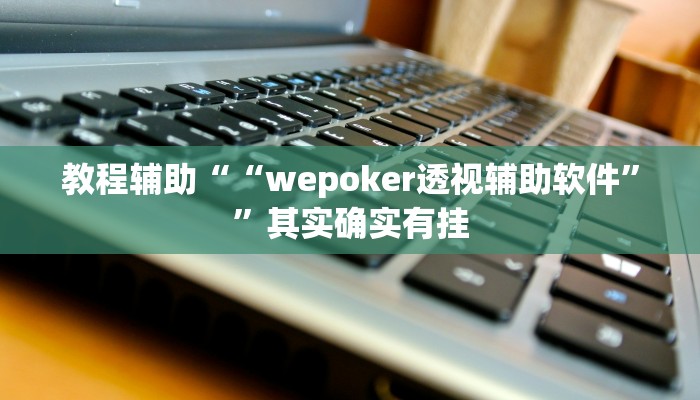 辅助教程“wepoker开挂透视!(透视)详细辅助透视教程