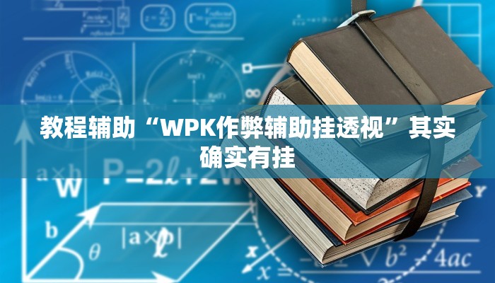 教程辅助“WPK作弊辅助挂透视”其实确实有挂