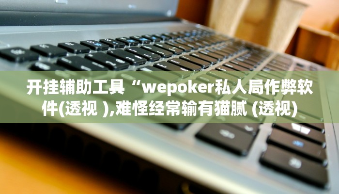 开挂辅助工具“wepoker私人局作弊软件(透视 ),难怪经常输有猫腻 (透视)