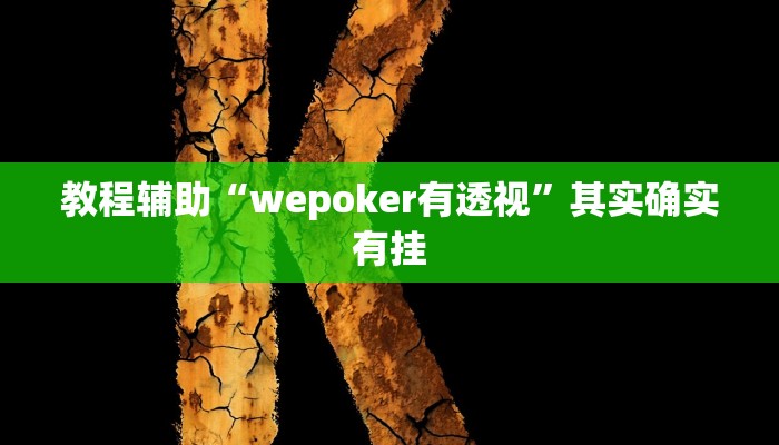 教程辅助“wepoker有透视”其实确实有挂