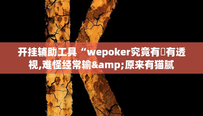 开挂辅助工具“wepoker究竟有沒有透视,难怪经常输&原来有猫腻