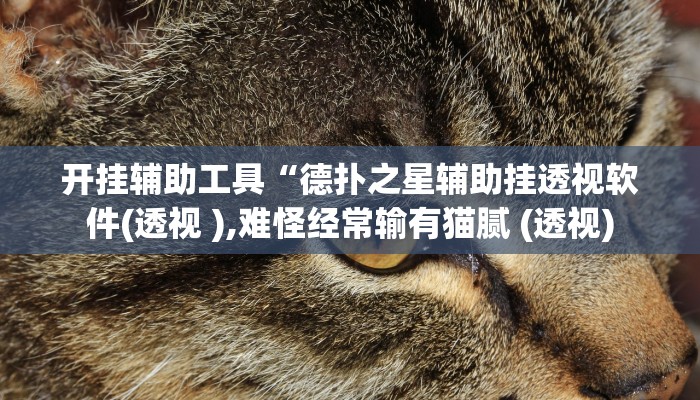 辅助教程“德扑之星作弊透视挂(透视 ),难怪经常输有猫腻 (透视)