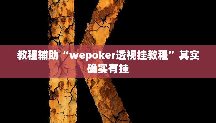 教程辅助“wepoker透视挂教程”其实确实有挂