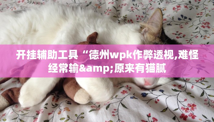 开挂辅助工具“德扑之星开挂辅助!(透视)详细辅助透视教程