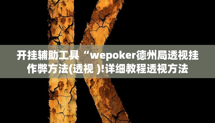 开挂辅助工具“wepoker德州局透视挂作弊方法(透视 )!详细教程透视方法
